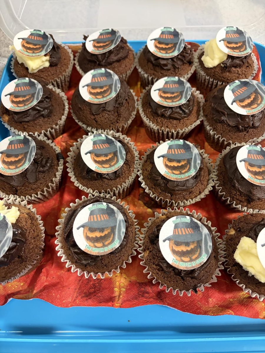 Great fun cake toppers!